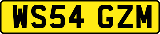 WS54GZM