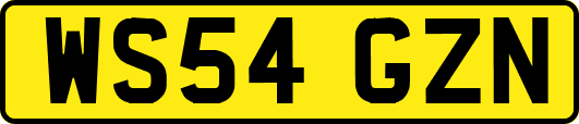 WS54GZN