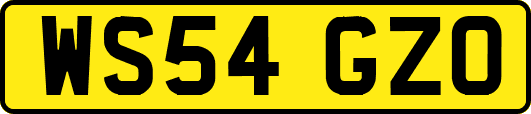 WS54GZO