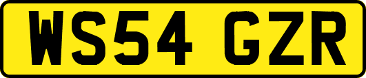 WS54GZR