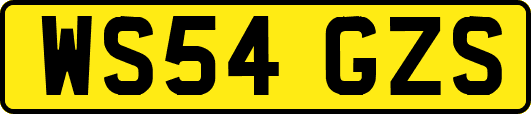 WS54GZS