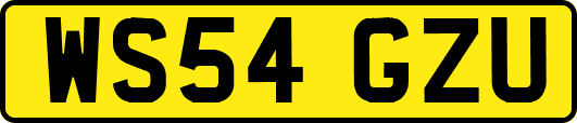 WS54GZU