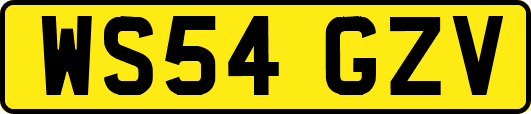 WS54GZV