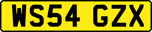 WS54GZX