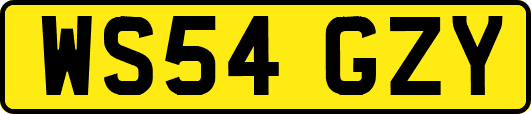 WS54GZY