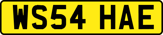 WS54HAE