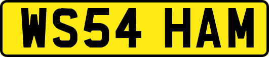 WS54HAM