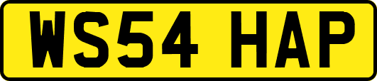 WS54HAP
