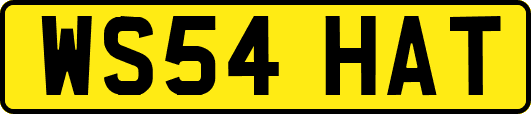 WS54HAT