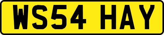 WS54HAY