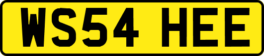 WS54HEE