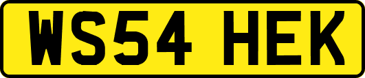 WS54HEK