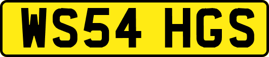 WS54HGS