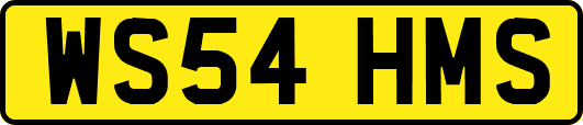 WS54HMS