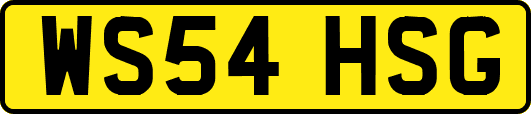 WS54HSG