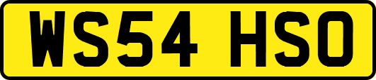 WS54HSO