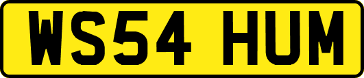 WS54HUM