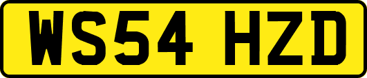 WS54HZD