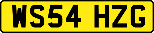 WS54HZG