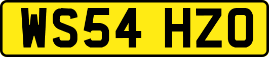 WS54HZO