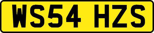 WS54HZS