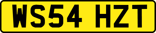 WS54HZT