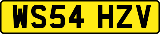 WS54HZV