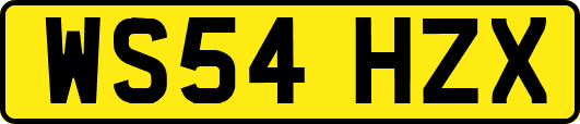 WS54HZX