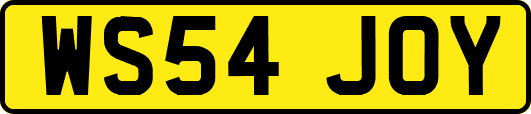 WS54JOY