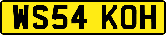 WS54KOH