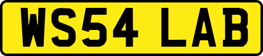 WS54LAB