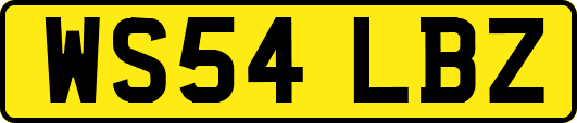 WS54LBZ