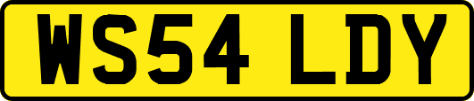 WS54LDY