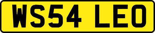 WS54LEO