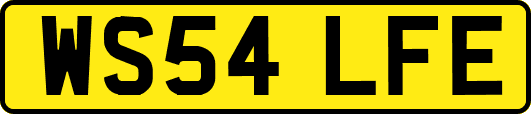 WS54LFE