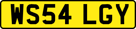 WS54LGY