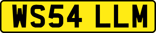 WS54LLM