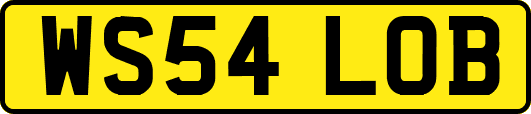 WS54LOB