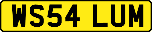 WS54LUM