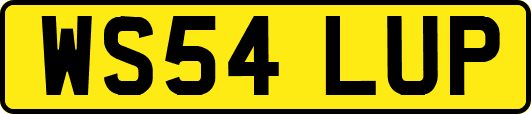 WS54LUP
