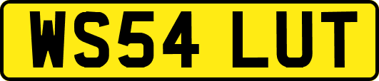WS54LUT