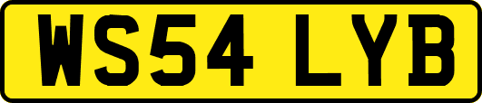 WS54LYB