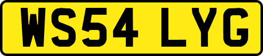 WS54LYG