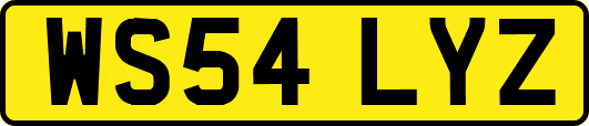 WS54LYZ
