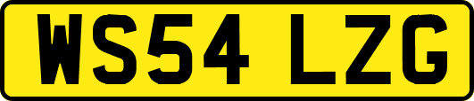 WS54LZG