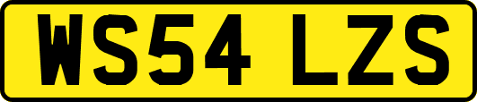 WS54LZS