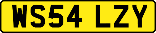 WS54LZY