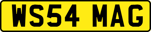 WS54MAG