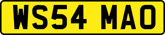 WS54MAO