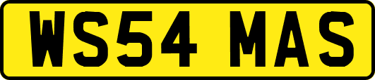 WS54MAS